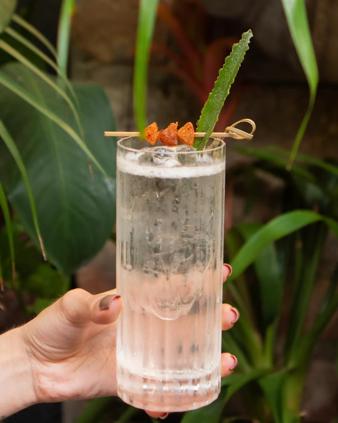 Rey Narciso - Cocktail of the month (June)